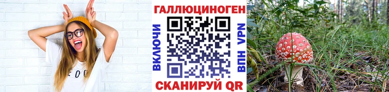 наркотики  Приволжский  Галлюциногенные грибы MAGIC MUSHROOMS 